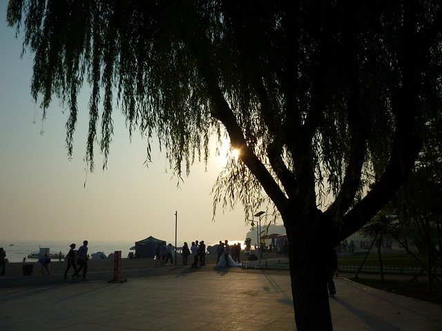china-230072_640.jpg