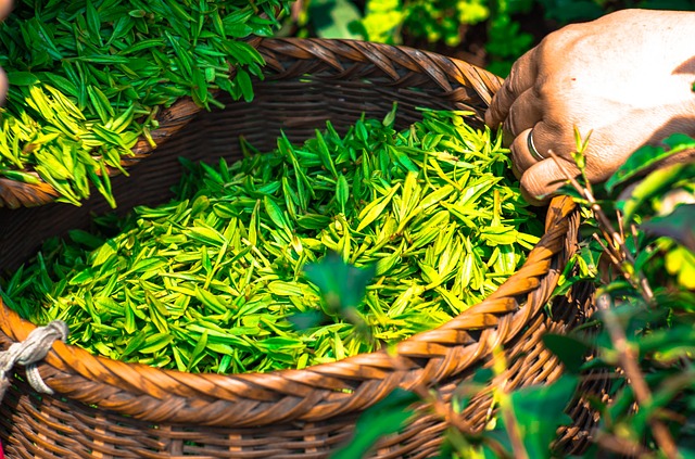 tea-1309015_640.jpg